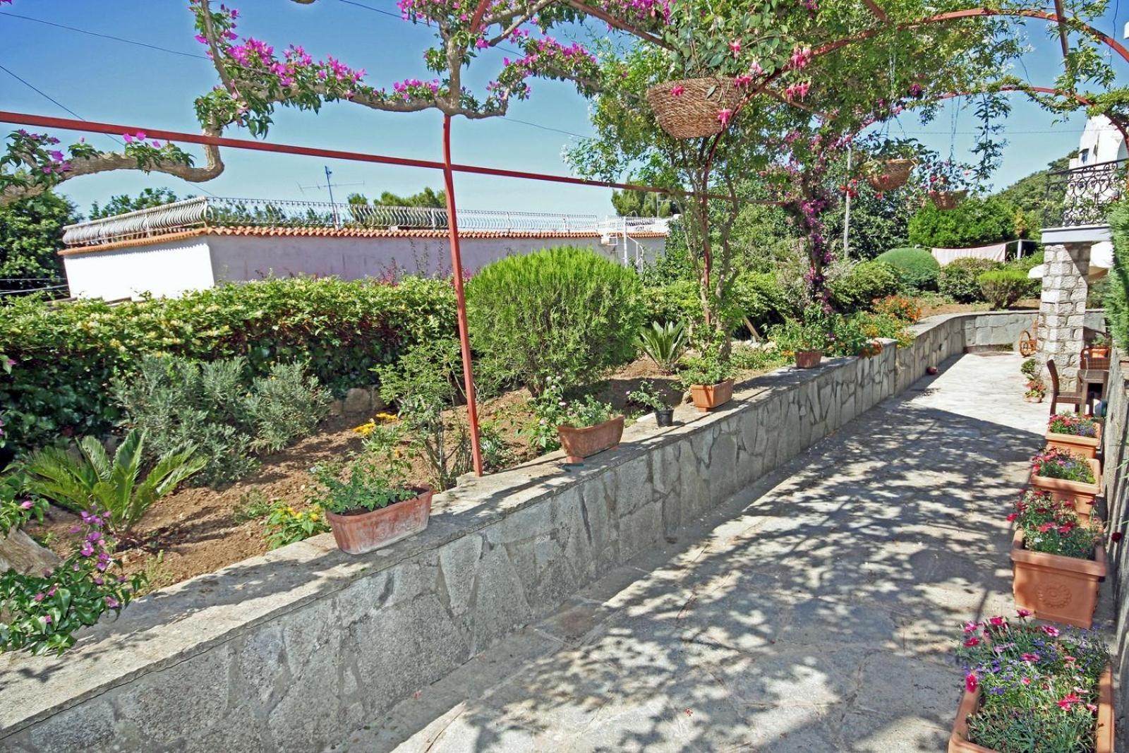 אנה קאפרי Cavalluccio Marino מראה חיצוני תמונה